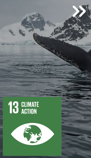 climate action