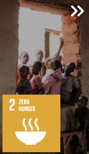 zero hunger